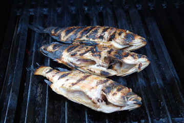 Three Snapper Fish Barbequed on a Grill