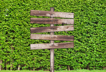wooden signpost with tree wall 