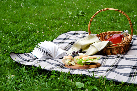 Picnic with a snack and a book on a blanket