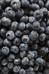 Fresh Organic Raw Blueberries