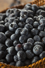 Fresh Organic Raw Blueberries