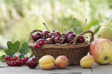Früchte im. Korb mit Frischem Obst , Aprikosen, Apfel, Kirschen, Johannisbeeren  aus dem Garten 