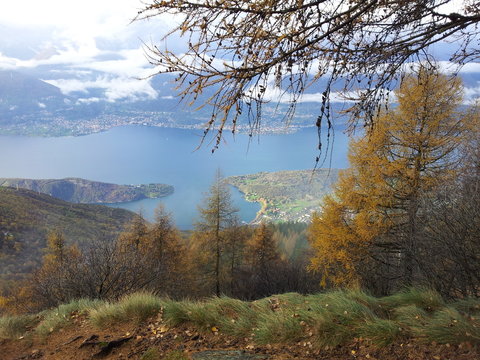 PIONA