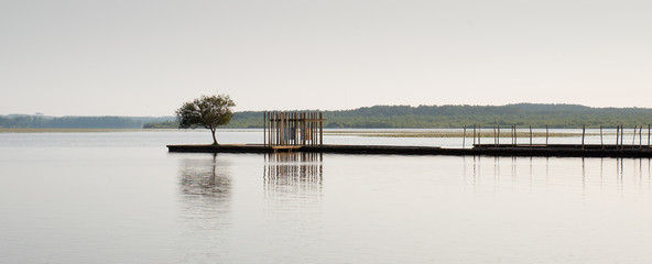 Wooden pier and tree in the Soustons lake, Landes, France - 67255432