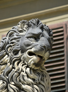 Florentine lion