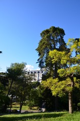 Fototapeta na wymiar Parc de Valrose, Nice, Campus universitaire 