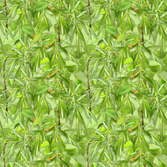 Camouflage seamless background with natural foliage