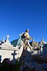 Obraz premium Cimetière de Cimiez, Nice