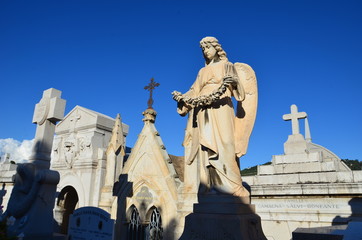 Obraz premium Cimetière de Cimiez, Nice