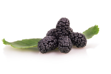 mulberry fruit with leaves