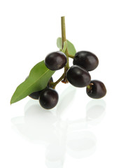 wild black berries with leaves, isolated on white