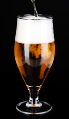 Glass of beer isolated on black