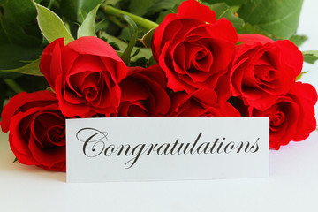 Obraz na płótnie Canvas Congratulations card with red roses