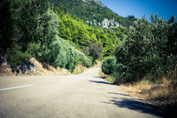 Sad oliwny © fototc