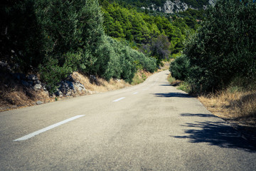 Sad oliwny © fototc