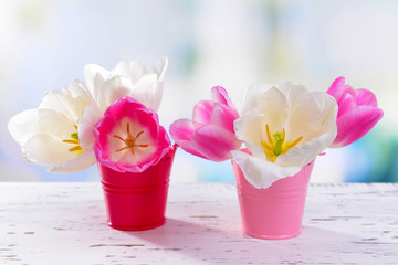 Beautiful tulips in bucket on table on light background