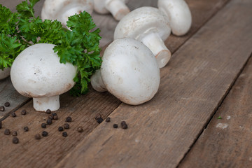 Fresh champignons and parsley