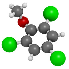 Trichloroanisole (TCA) cork taint molecule