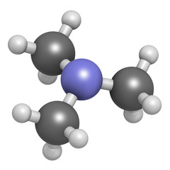 Trimethylamine volatile tertiary amine molecule.