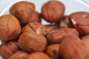 hazelnut