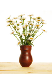 Bouquet of daisies in the jug isolated over white