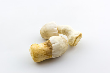 Fresh rice straw mushrooms,Volvariella volvacea.