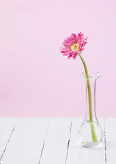 pink gerbera in glass vase on white wood
