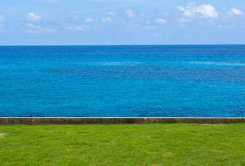 Fototapeta na wymiar Blue sky sea view with lawn foreground