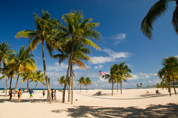 Beach, Strand, Palmen, Gruppe, Florida, Amerika,
