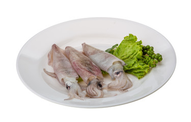 Raw calamari