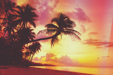 Naklejka na ściany i meble Beautiful tropical sunset with palm trees silhoette