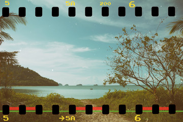 Palm trees at tropical coast, vintage toned and film stylized