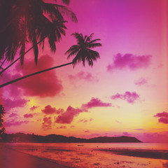 Tropical beach with palm tree at sunset