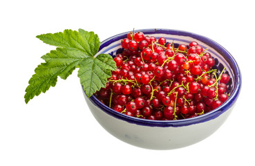 Red currant