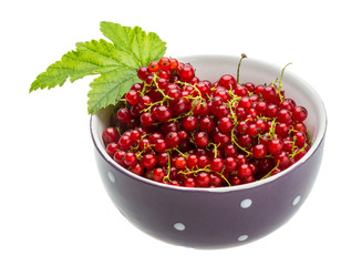 Red currant
