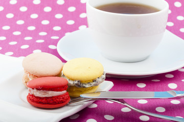 Sweet and colorful French macaroons on pastel background