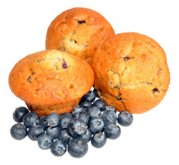 Blueberry Muffins With Fresh Blueberries