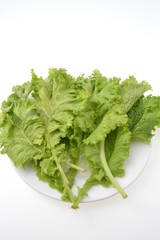 マスタードグリーン