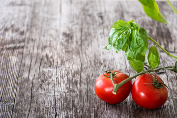 Fresh red tomatoes and basil