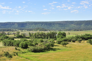 Fototapeta na wymiar The San Juan Mountains in Colorado, United State's in July.