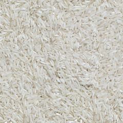 Seamless Detailed White Rice Texture Close-Up