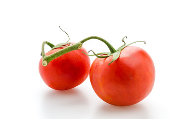 Tomato isolated on white