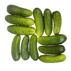 Fresh cucumbers