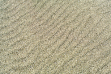 Fototapeta na wymiar Sand dunes texture