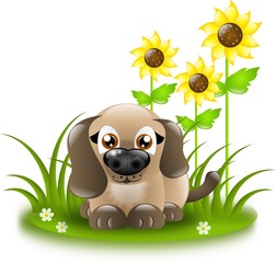 Small dog with sunflowers