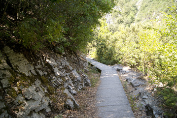Obraz premium Mountain trail