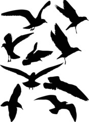 set of eight gull black silhouettes