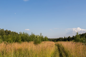Дорога на поле