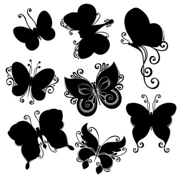 Vector Set of Butterflies. Stencils Isolated on White Background