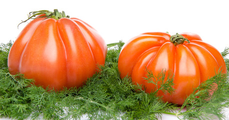 Beefsteak tomatoes on dill